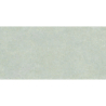 BRUNSWICH CENIZA MAT 60X120 REKT. GAT.1 (P.70339)