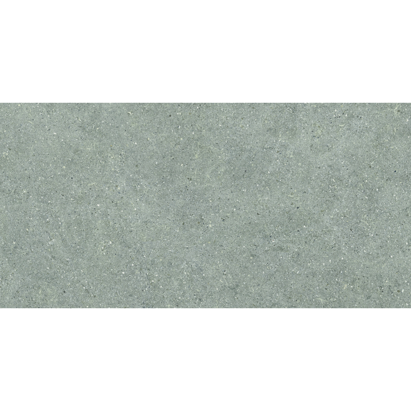BRUNSWICH ACERO MAT 60X120 REKT. GAT.1 (P.70341)
