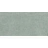 BRUNSWICH ACERO MAT 60X120 REKT. GAT.1 (P.70341)