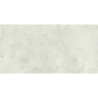 CAPITAL BLANCO MAT 60X120 REKT. GAT.1 (P.70357)