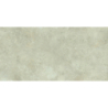 CAPITAL BEIGE MAT 60X120 REKT. GAT.1 (P.70491)