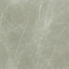ETERNAL TAUPE NATURAL MAT 120X120 REKT. GAT.1 (P.70505)