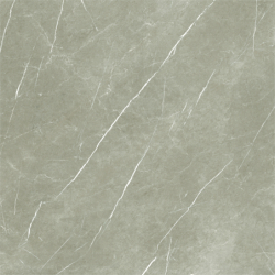 ETERNAL TAUPE POLER 120X120 REKT. GAT.1 (P.70509)