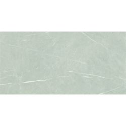 ETERNAL PEARL POLER 60X120 REKT. GAT.1 (P.70559)
