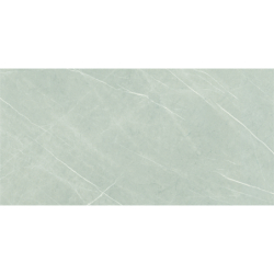 ETERNAL PEARL POLER 60X120 REKT. GAT.1 (P.70559)