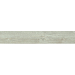 FORESTA FAGGIO MAT 20X120...