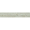 FORESTA FAGGIO MAT 20X120 REKT. GAT.1 (P.70575)