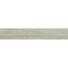 FORESTA FAGGIO MAT 20X120 REKT. GAT.1 (P.70575)