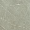 ETERNAL TAUPE NATURAL MAT 60X60 REKT. GAT.1 (P.70597)