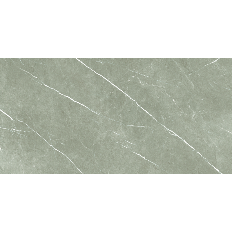 ETERNAL TAUPE NATURAL MAT 60X120 REKT. GAT.1 (P.70605)