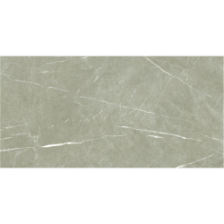 ETERNAL TAUPE POLER 60X120...