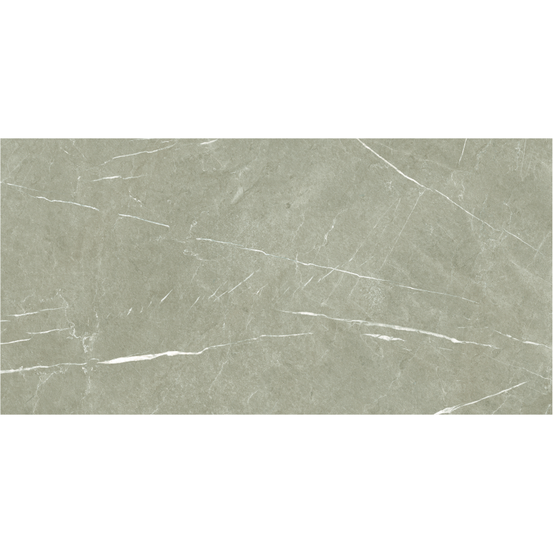 ETERNAL TAUPE POLER 60X120 REKT. GAT.1 (P.70609)