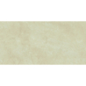 CREAM CHAMBER POLER 60X120 REKT. GAT.1 (P.70627)