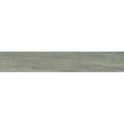 CARPATOS GRIS MAT 20X120...