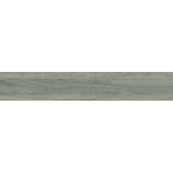 CARPATOS GRIS MAT 20X120 REKT. GAT.1 (P.70679)