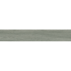 CARPATOS GRIS MAT 20X120 REKT. GAT.1 (P.70679)