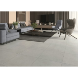 NEOTEC LIGHT GREY MAT 59,7x59,7 REKT. GAT.1 (P.70755)
