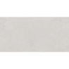 PETRIS GRIS MAT 31X61 GAT.1 (P.70835)