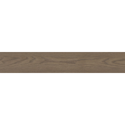 ROBUR MARRON MAT 24,8X150...