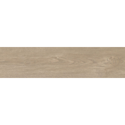 ROBUR NATURAL MAT 24,8X100...