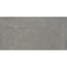QUARZ GRIS MAT 30X60 REKT. GAT.1 (P.70919)