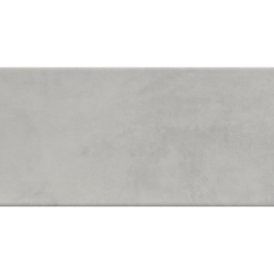 OMNIUM GRIS MAT 31X61 GAT.1...