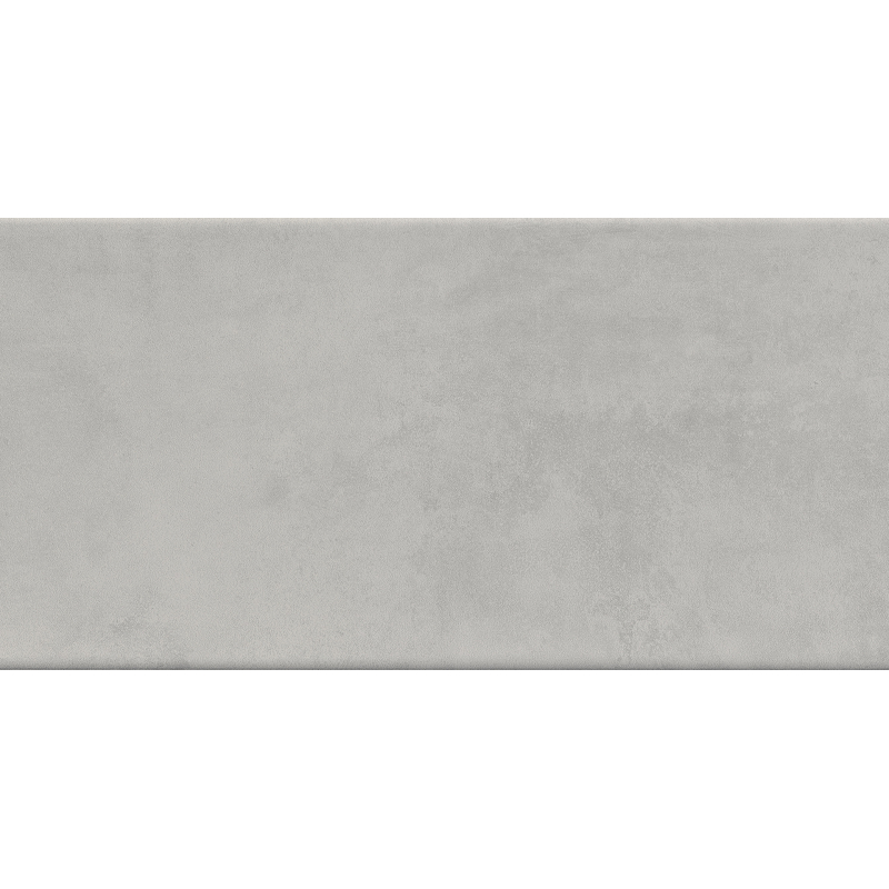 OMNIUM GRIS MAT 31X61 GAT.1 (P.71095)