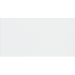 SINTESIS BLANCO MAT 31X61...