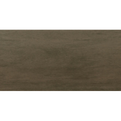 INTERIOR BRONCE MAT 30X60...