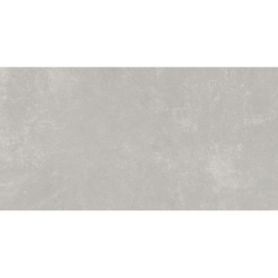 DANDY GRIS MAT 31X61 GAT.1...