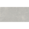 DANDY GRIS MAT 31X61 GAT.1 (P.71913)
