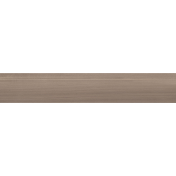 EUKALYPT MARRON MAT 20X120...