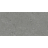 NORDBY CENIZA MAT 30X60 REKT. GAT.1 (P.74109)
