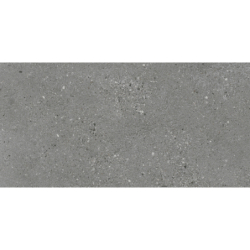 NORDBY CENIZA MAT 30X60 REKT. GAT.1 (P.74109)
