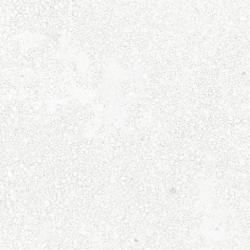 TERRA VIVA BLANCO MAT 60X60 REKT. GAT.1 (P.74049)