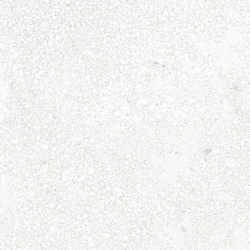TERRA VIVA BLANCO MAT 60X60 REKT. GAT.1 (P.74049)