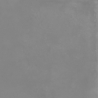 ICONIC GRIS MAT 60X60 REKT. GAT.1 (P.73833)