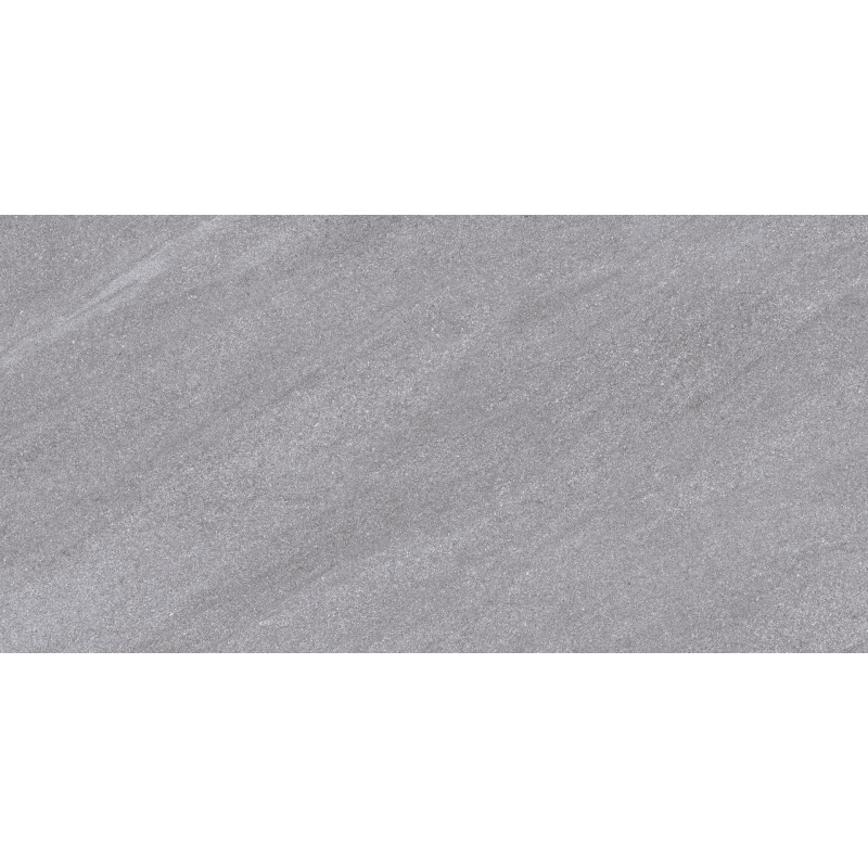 COLISEO GRIS MAT 60X120 REKT. GAT.1 (P.73355)