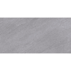 COLISEO GRIS MAT 60X120 REKT. GAT.1 (P.73355)