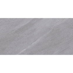 COLISEO GRIS MAT 60X120 REKT. GAT.1 (P.73355)