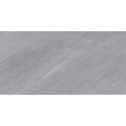 COLISEO GRIS MAT 60X120 REKT. GAT.1 (P.73355)