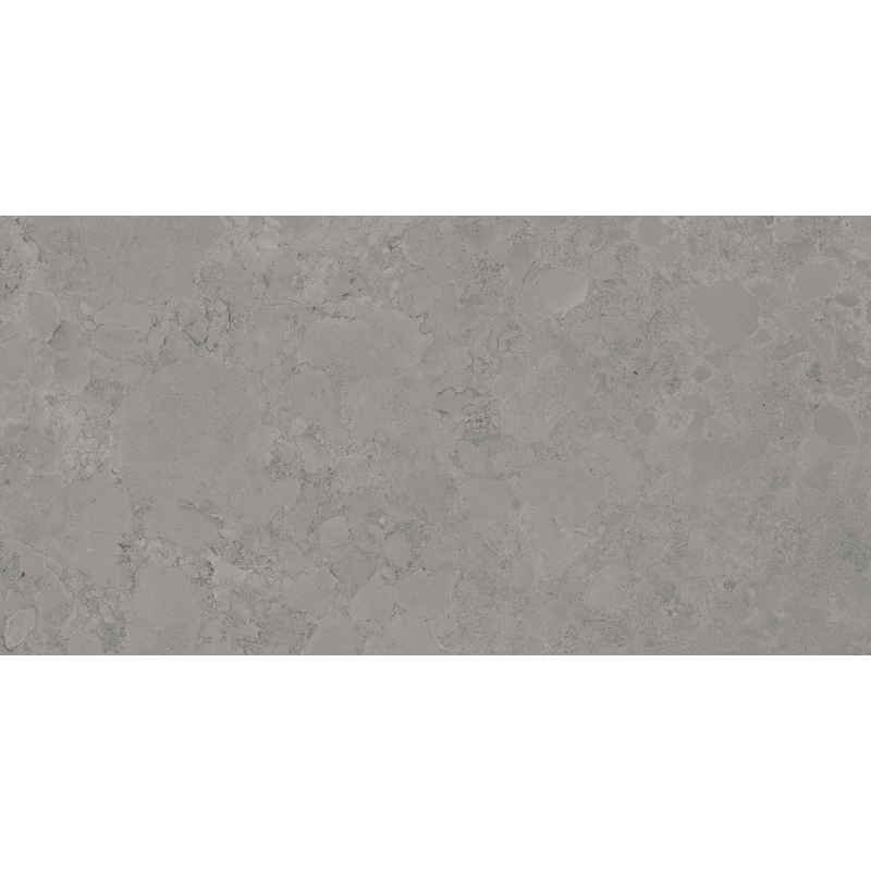 ISEO STONE GRIS MAT 60X120 REKT. GAT.1 (P.73895)