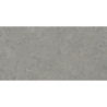 ISEO STONE GRIS MAT 60X120 REKT. GAT.1 (P.73895)