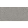 ISEO STONE GRIS MAT 60X120 REKT. GAT.1 (P.73895)