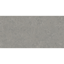 ISEO STONE GRIS MAT 60X120 REKT. GAT.1 (P.73895)