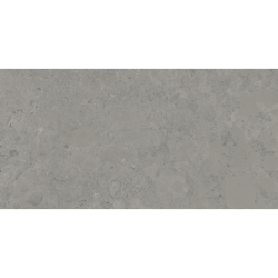 ISEO STONE GRIS MAT 60X120 REKT. GAT.1 (P.73895)