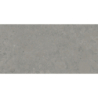 ISEO STONE GRIS MAT 60X120 REKT. GAT.1 (P.73895)