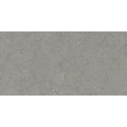 ISEO STONE GRIS MAT 60X120 REKT. GAT.1 (P.73895)