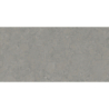 ISEO STONE GRIS MAT 60X120 REKT. GAT.1 (P.73895)