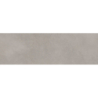 MEDITERRANEA GRIS MAT 31,5X100 REKT. GAT.1 (P.74369)